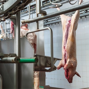 Windust Hydraulics industries - meat & dairy