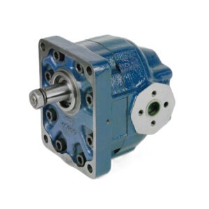 Ronzio W3 Cast Iron Gear Pump